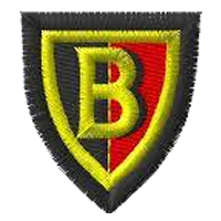 Bonnybridge Primary School