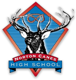 Norton Canes High School